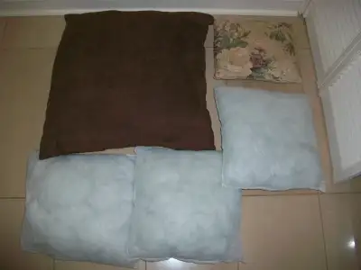 Coussins (lot de 5, 4 sont neufs, 9$ pour le lot), View more