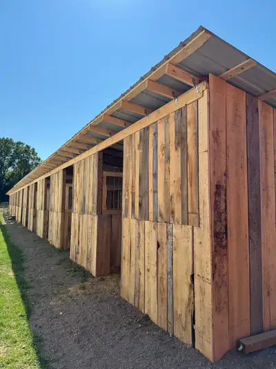 12 brand new indoor boarding spots available at southward stables in langton. Booking for October 1s...