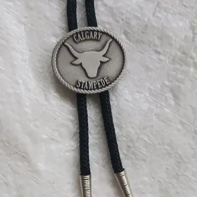 2 Bolo Ties, new, View more