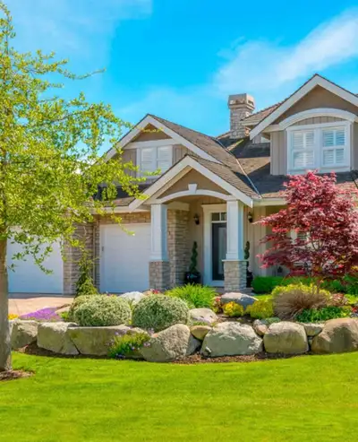 Tree removal, landscaping outdoor cleaning decking fence, View more