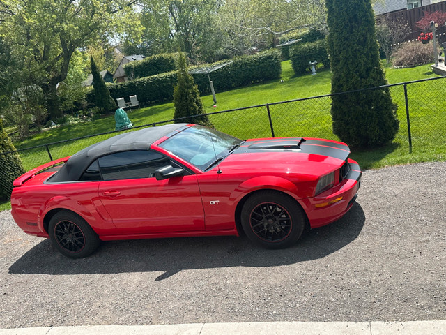 2005 Mustang GT in Classic Cars in Kawartha Lakes - Image 2