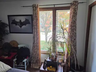 Looking for a room or 1 bdrm apt in or around st marys for a semiretired guy.