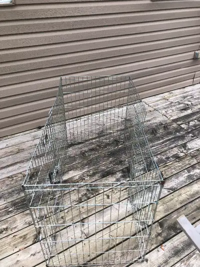 Used Dog cage 3 feet x 3 feet