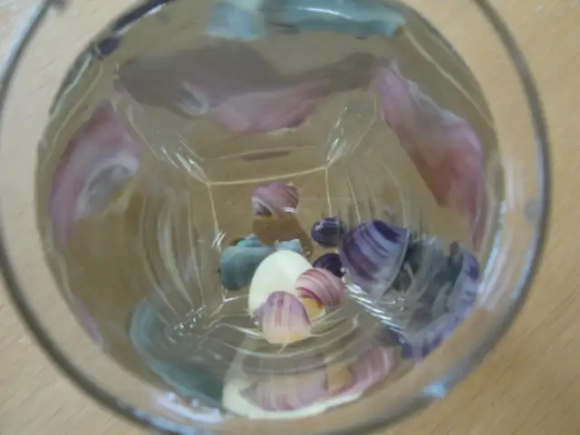 Beautiful Mystery Snails, Purple, Magenta and Yellow in Fish for Rehoming in Oakville / Halton Region - Image 3
