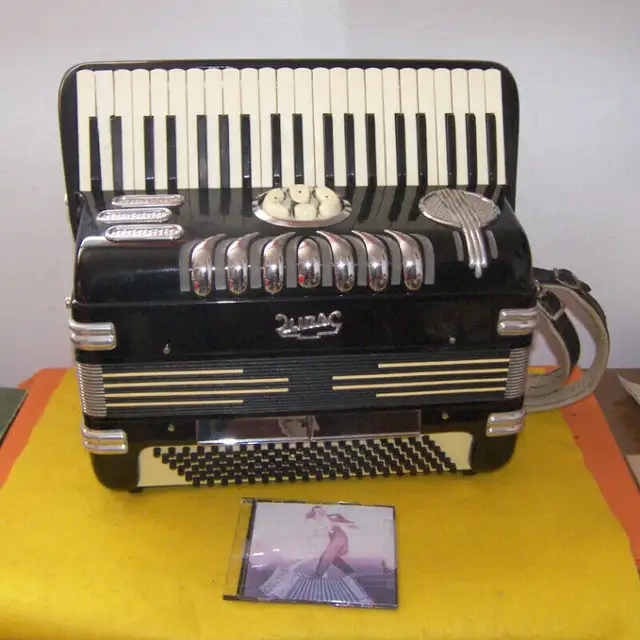Accordion  LIRA  Made In Italy 120 Bass in Arts & Collectibles in Edmonton - Image 7