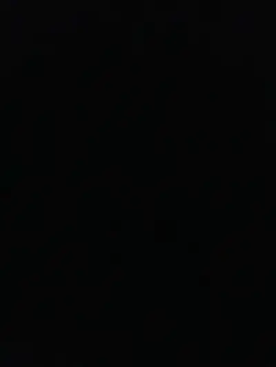 Single private room for rent in a family house. Preferred vegetarian and someone who does not drink...