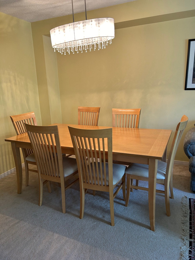 Dining Set (7 Piece) in Dining Tables & Sets in Mississauga / Peel Region