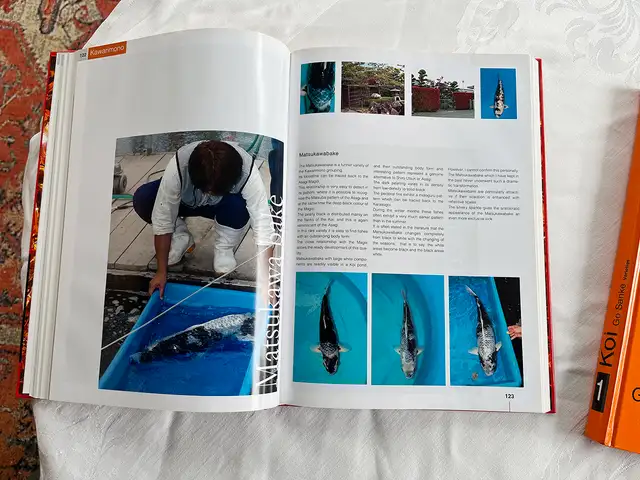 Koi 1 & Koi 2 – Mint Hardcover Set by Harald Bachmann in Other in City of Toronto - Image 10