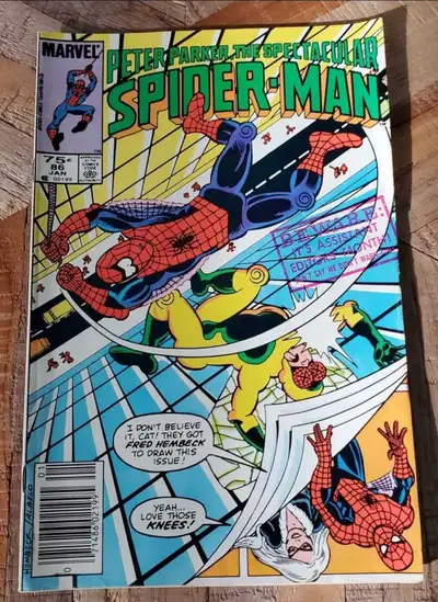 Peter Parker the Spectacular Spider-Man #86, View more