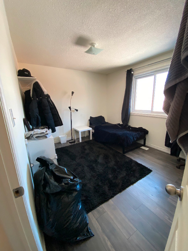 Student sublet for the summer term in Room Rentals & Roommates in Peterborough - Image 2