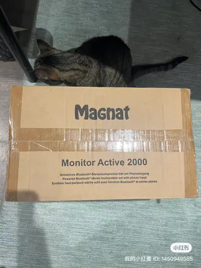 Magnat Monitor Active 2000 powered speaker, View more