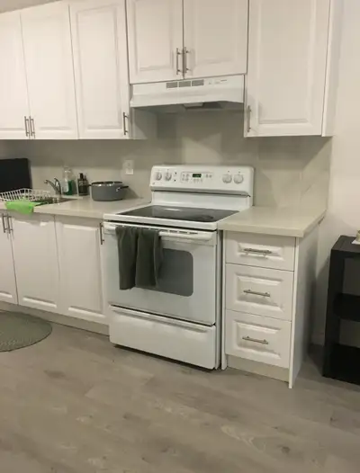 one bedroom basement apartment