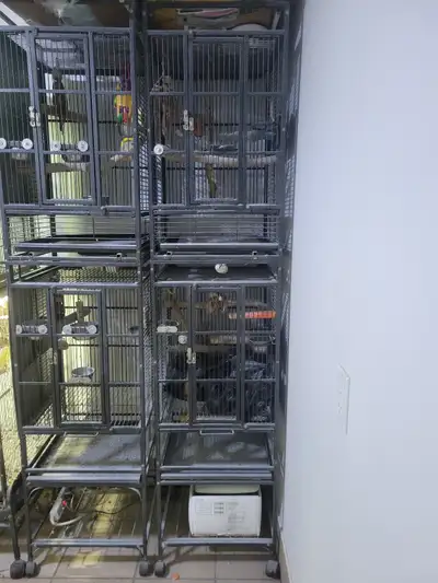 Cages a perroquets doubles superposées., View more