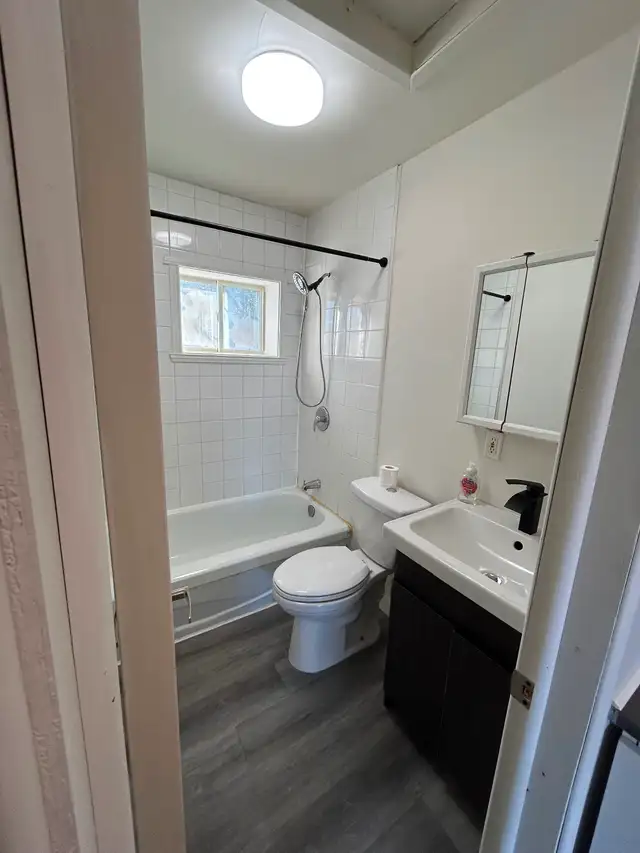 brand new Reno Ground level-one bedroom - center Alexandria | Long Term ...