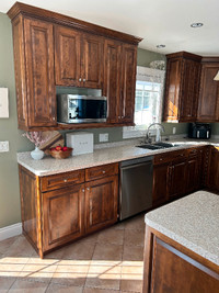 Kitchen countertop, under mount sink and delta touch faucet