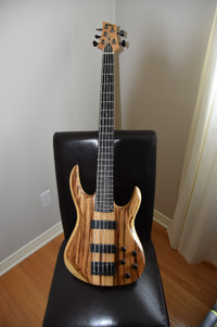 Basse Lado Studio (5 cordes)