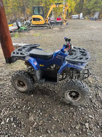 Kids 125 cc quad. 2 x 4 great for Trails. Would be good for a 7 to 10 year-old.