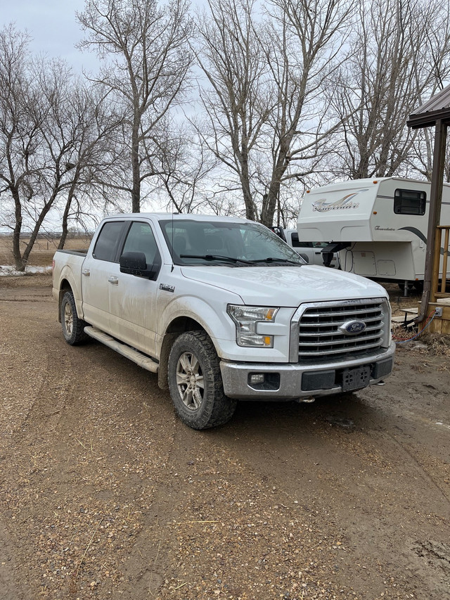 2015 Ford F-150 in Cars & Trucks in Swift Current - Image 2
