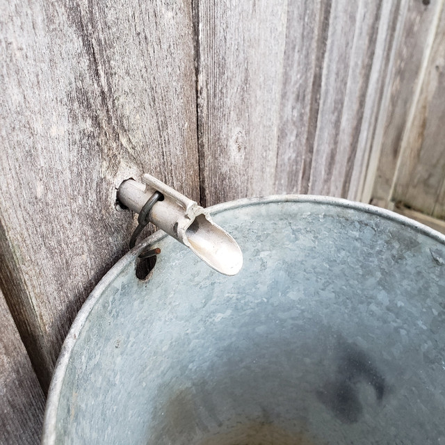 Taps for Maple Sap Buckets $1 each in Other in Ottawa