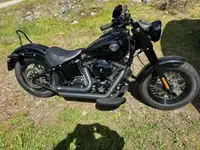 2017 Harley Davidson Soft tail slim S