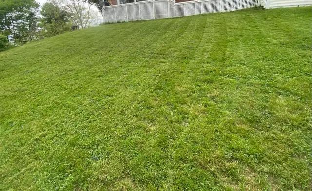 FALL CLEAN UP / SNOW REMOVAL / LAWN CUTTING in Lawn, Tree Maintenance & Eavestrough in London - Image 5