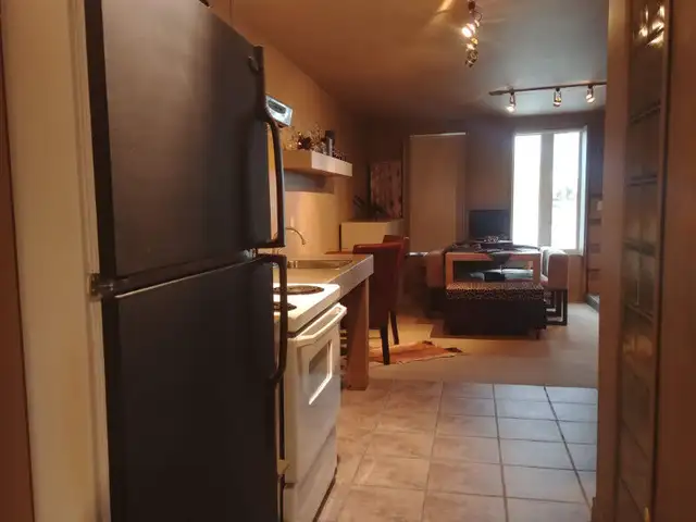 Logement ou local professionnel à Lévis in Long Term Rentals in Lévis - Image 8