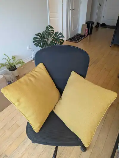Accent cushions, yellow, square, View more