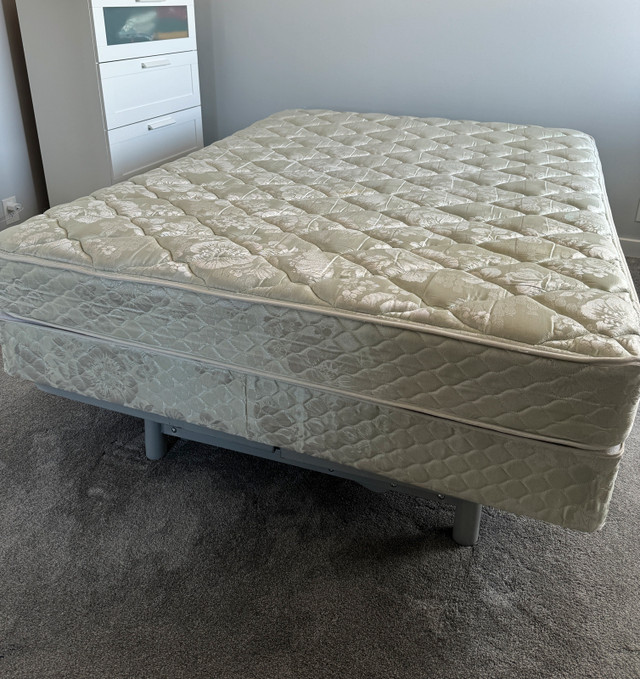 Queen bed frame, boxspring, mattress in Beds & Mattresses in Calgary - Image 2
