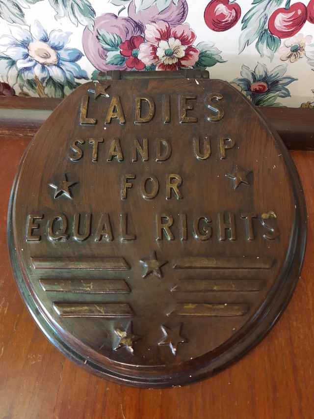 Satirical 1960s ladies stand up for equal rights  in Arts & Collectibles in Trenton