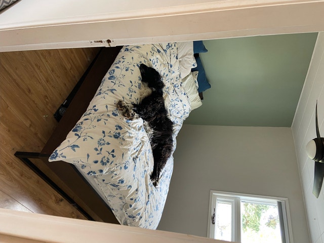 2 Bedroom Downtown Apartment for rent Long Term Rentals Whitehorse