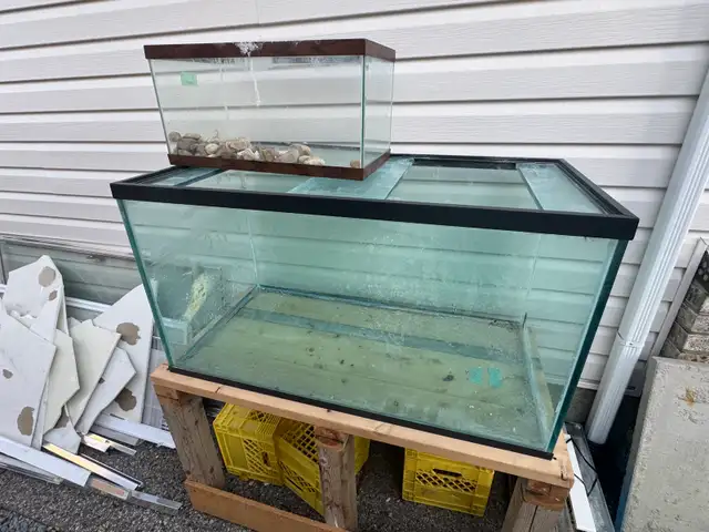 3 Aquariums/fish tanks - pending pickup | Hobbies & Crafts | Calgary ...