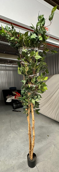 Ficus Silk Tree Artificial Trees