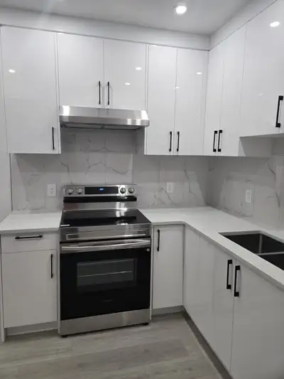 A Brand New Legal Basement Suite + Den