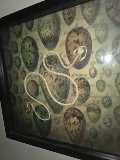 I've had this for 5 years now, sad to see it go but I currently need the money. 125 or best offer