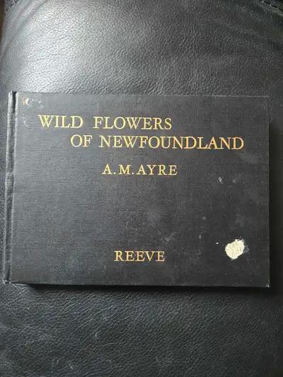 A.M. Ayre, View more