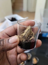  Baby wolf spiders with temp enclosure  Delta/Surrey/Langley Greater Vancouver Area Preview