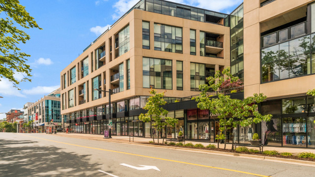 spring garden apartments halifax