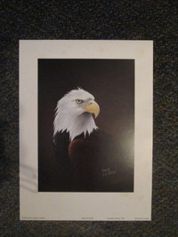 Bald Eagle print by Eddie LePage ( 9 x 12 1/4)