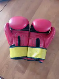 Boxing Gloves Size 14 