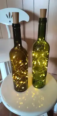 Bouteilles lumineuses (10)