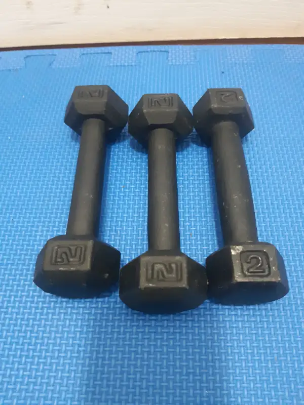 dumbbells in Exercise Equipment in Delta/Surrey/Langley - Image 3