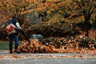 leaf cleanup grass cutting leaves removal , View more