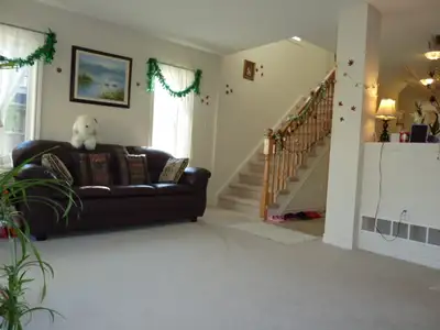 Cozy Executive Basement Suite – Close to Campus