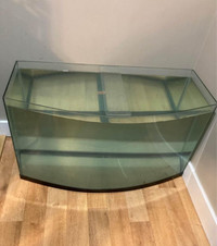 36 gallon bow front fish tank 