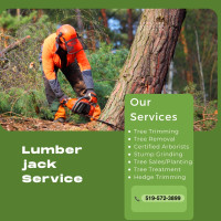 Tree cutting, Stump Grinding and landscape services