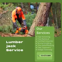 Tree cutting, Stump Grinding and landscape services