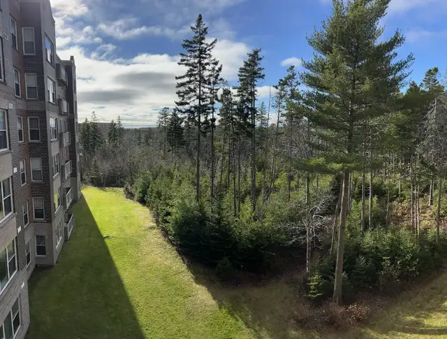 Clayton Park - July 1 - 5 Appliances/Underground Parking in Long Term Rentals in City of Halifax - Image 10