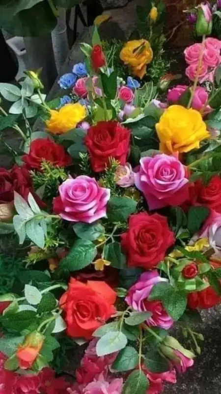 Massage therapy62863240182913122