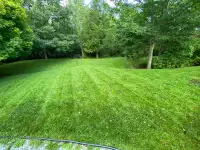 Mowing/Trimming Quispamsis/Rothesay/Hampton and areas surroundin