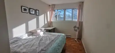 Prime location • Excellent Transit • Not Basement Fully Furnished and Spacious Room for Rent in 2 Be...